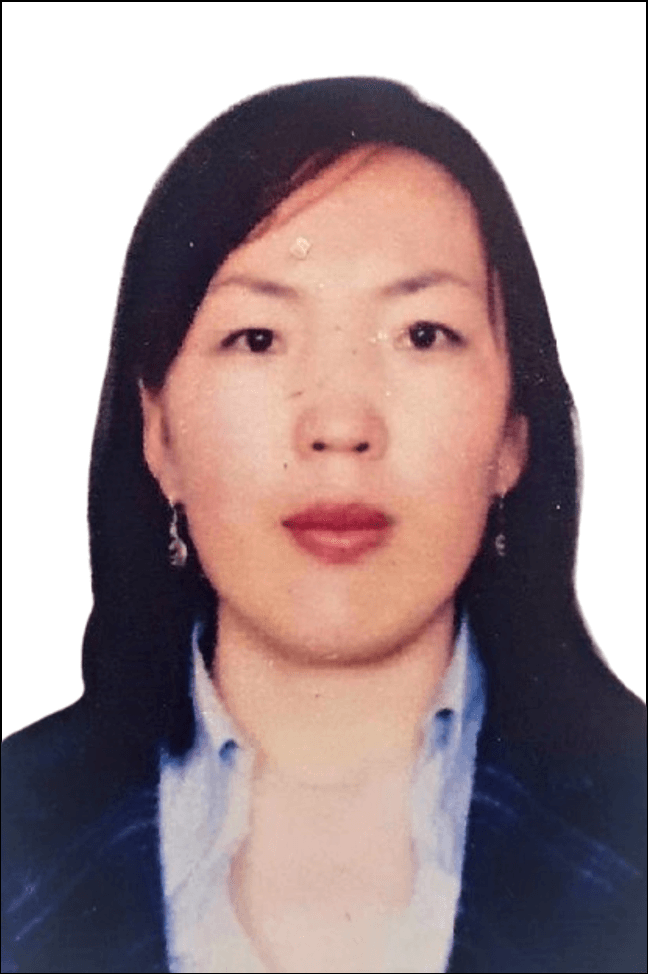 Н.Даваасүрэн — Lecturer