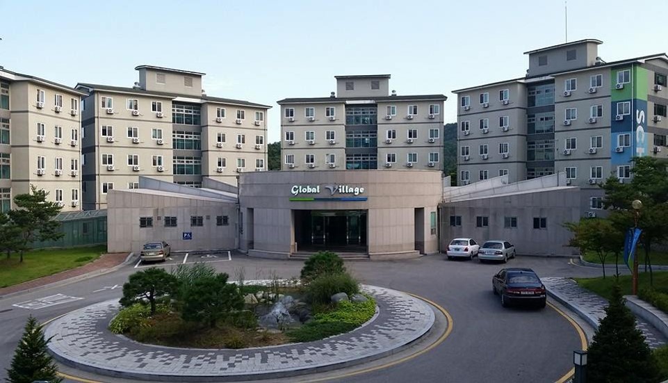 programs: Picture1(1).jpg